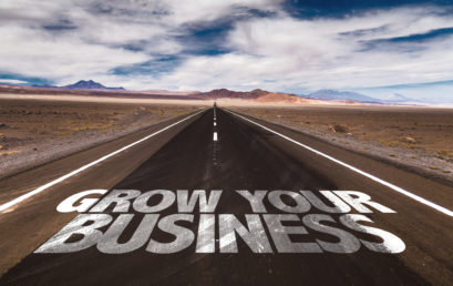 Growing Your Training Business in 7 Steps